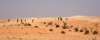 dsc01744_small.jpg