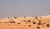 dsc01745_small.jpg