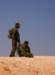 dsc01746_small.jpg