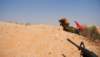 dsc01748_small.jpg