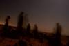 dsc01788_small.jpg