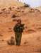 dsc01790_small.jpg