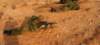 dsc01798_small.jpg