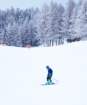 dsc03590_small.jpg