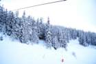 dsc03600_small.jpg