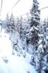 dsc03603_small.jpg