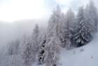 dsc03610_small.jpg