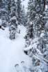 dsc03619_small.jpg