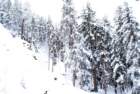 dsc03620_small.jpg