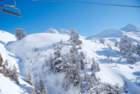 dsc03665_small.jpg