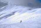 dsc03706_small.jpg