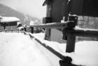 dsc03930_small.jpg