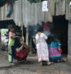 pict2479_small.jpg