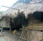 pict2485_small.jpg