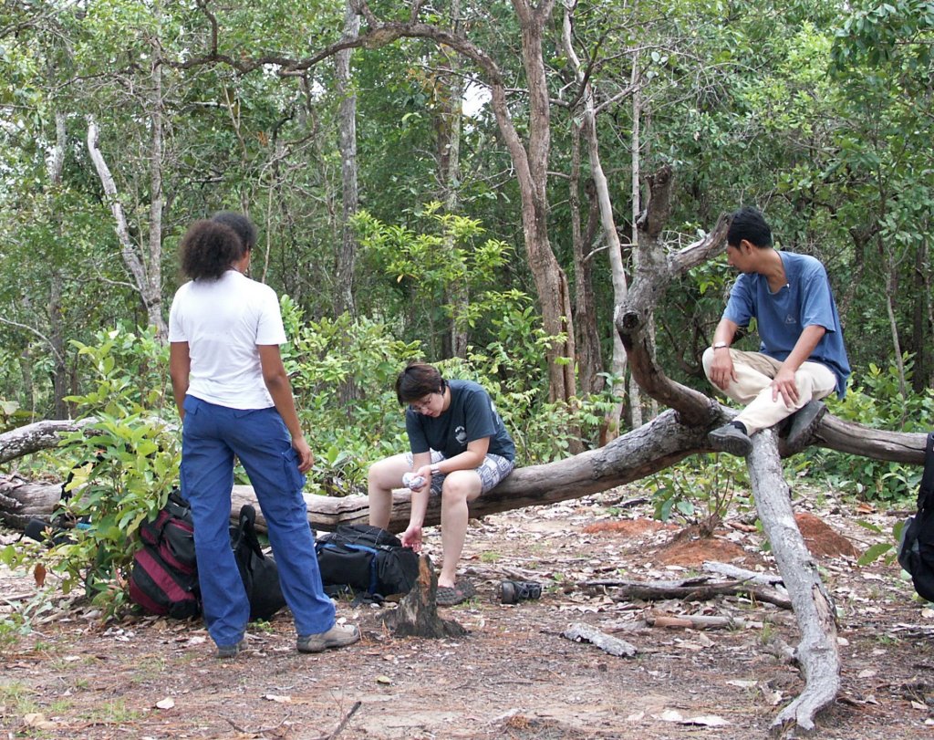 pict2545.jpg