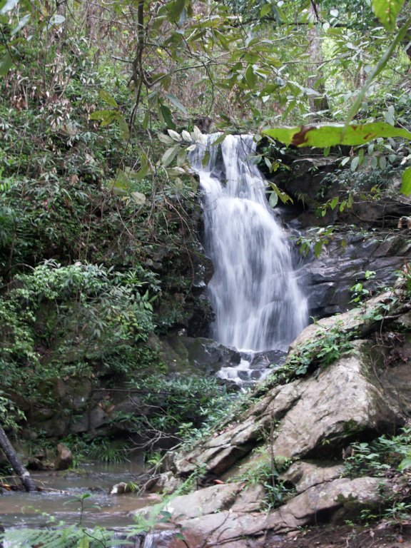 pict2555.jpg