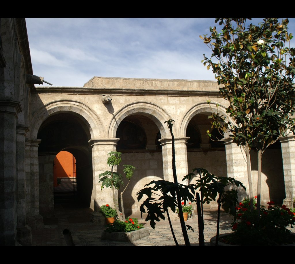 pict8135.jpg