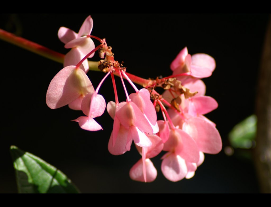 pict8016.jpg
