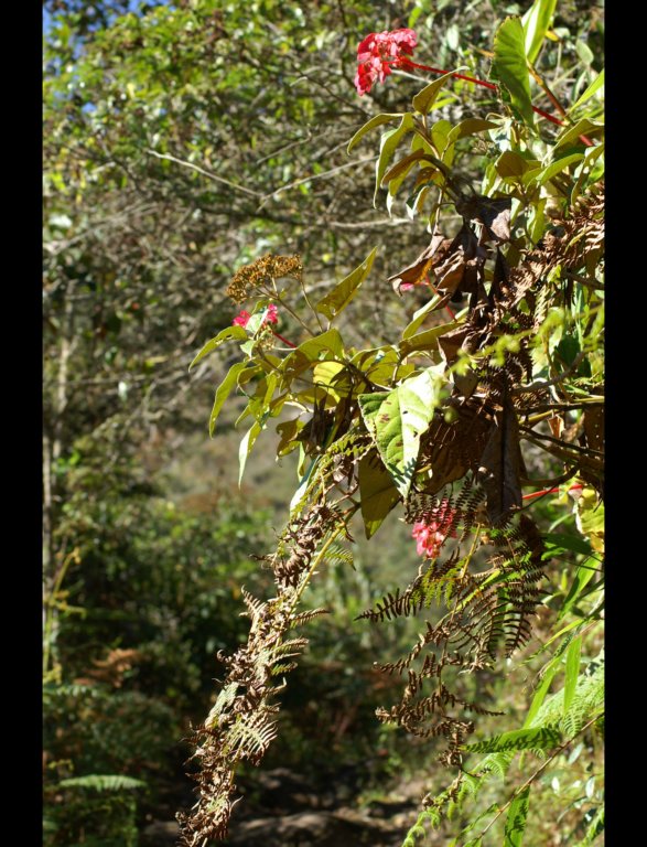 pict8020.jpg