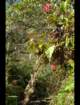 pict8020_small.jpg