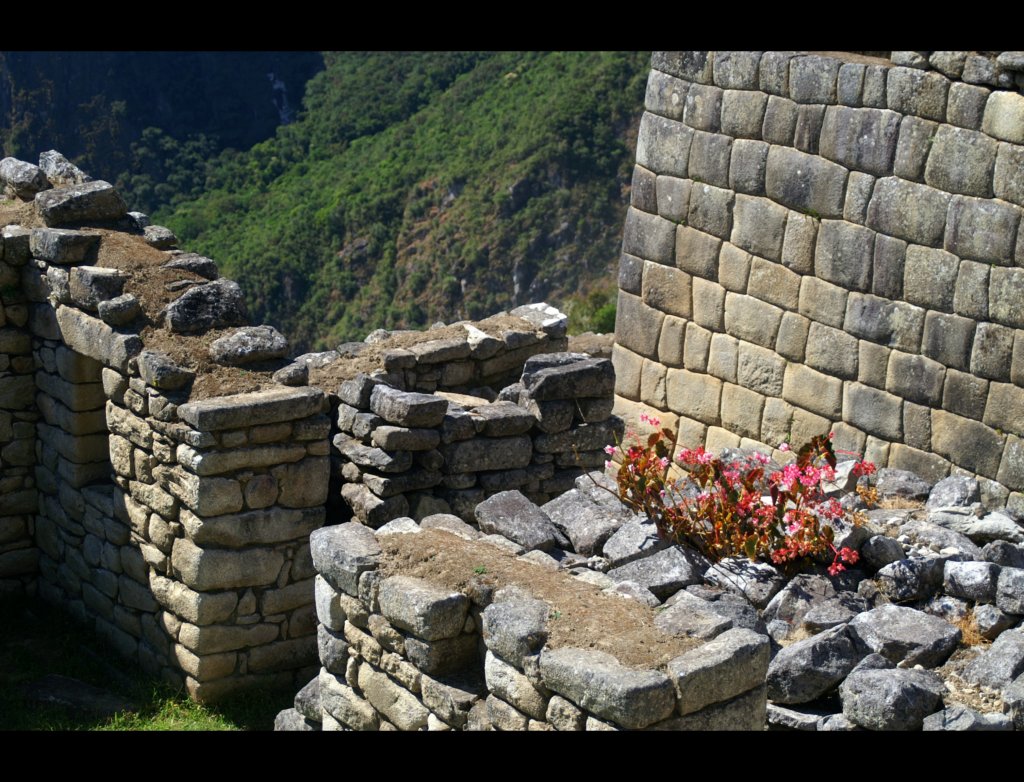 pict8058.jpg