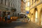 pict2229_small.jpg