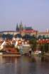 pict2248_small.jpg