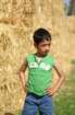 pict6677_small.jpg